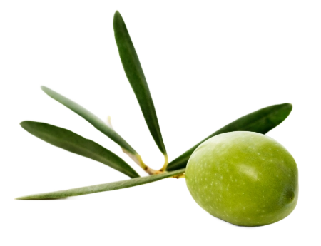 Olive mit Blätter